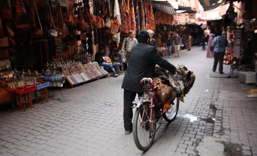 Medina alleyway. Photo by Sarah Reid